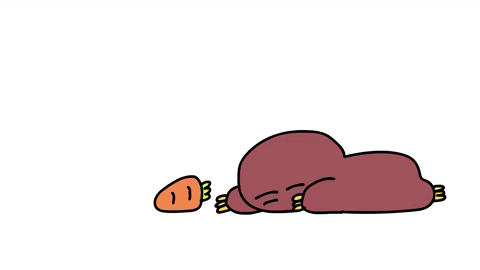 動物 アニメ Sticker By P I C S For Ios Android Giphy