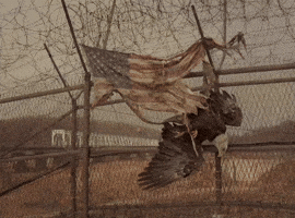 United States Usa GIF