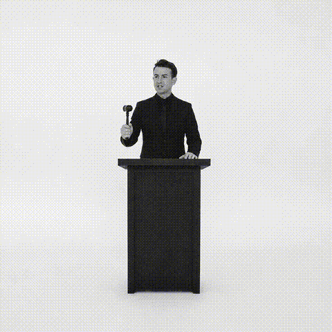 Nft Bidding GIF