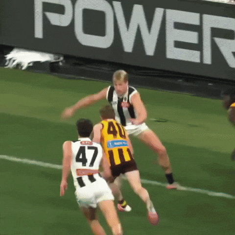 Hawthorn Hawks Afl GIF