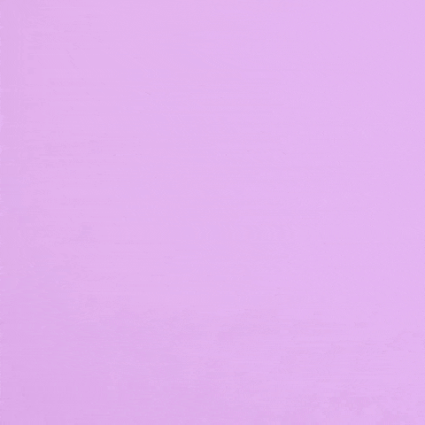GIF by AwooPets