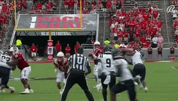 Touchdown GIF