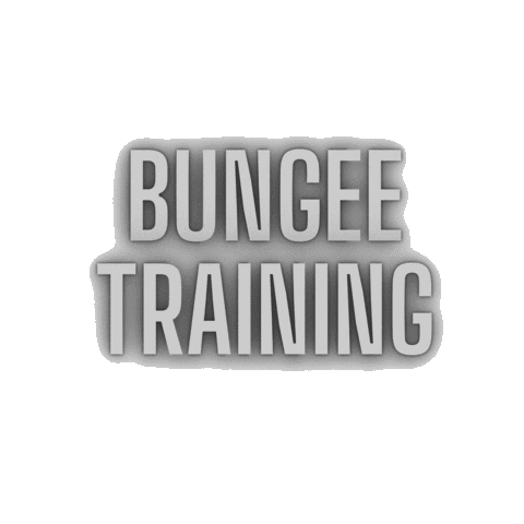 BUNGEE TRAINING ARGENTINA Sticker