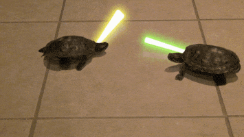star wars turtle GIF