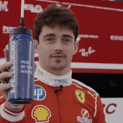 Charles Leclerc GIF