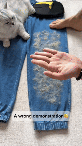 Fur-Free Grooming Gloves GIF