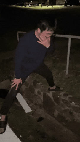 703Dog GIF