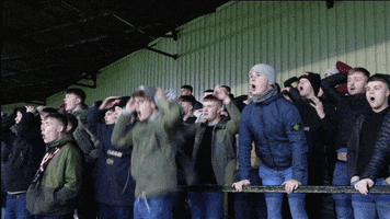 Miss Disappointment GIF by Dunfermline Athletic Football Club