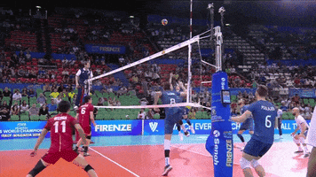 Japan Wow GIF by Volleyball World - Find & Share on GIPHY