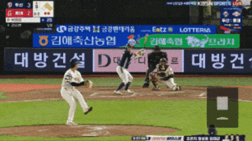 야구 GIF
