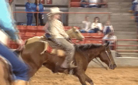 Horse Cowboy GIF by Texas Archive of the Moving Image - Find & Share on GIPHY