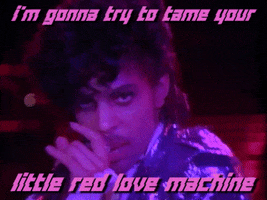 little red corvette GIF by Prince