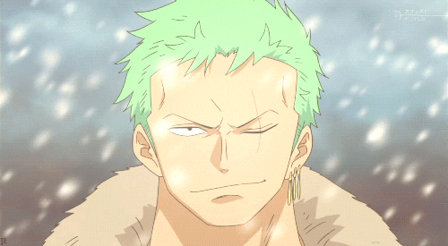 Tell me What do you think About Zoro?
In One Word