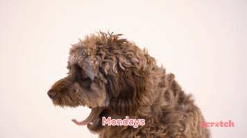 Tired Dog GIF