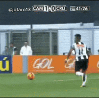 Galo Doido GIF