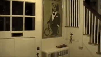 Con10  GIF
