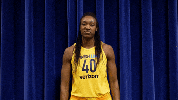 fever basketball GIF by Indiana Fever