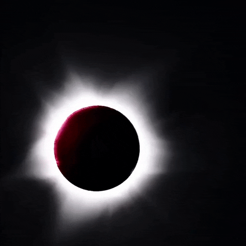 Solar Eclipse Australia GIF by Storyful