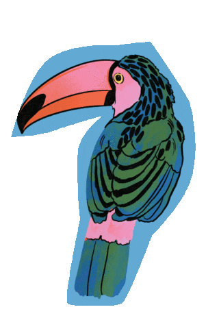 Fashion Bird Sticker by Enhorabuena Estudio