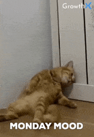 Monday Morning Cat GIF by GrowthX