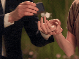 Proposal GIF