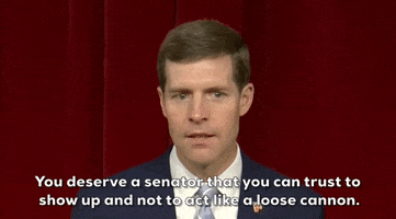 Midterm Elections GIF by GIPHY News