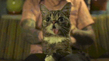 200.gif