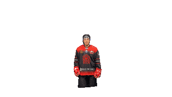 Les Aigles de Nice Sticker