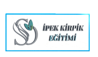 Sticker by Sevgi Onel