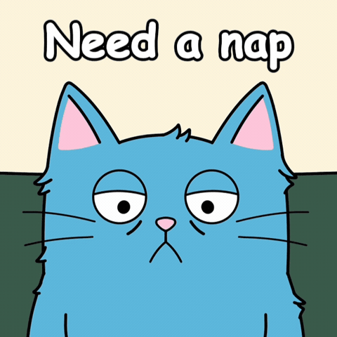 Blue Cat Nap Time GIF