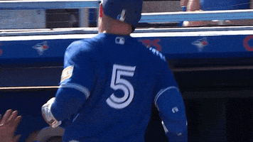 Blue Jays Baseball GIF by Toronto Blue Jays