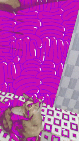 GIF by ellaknor