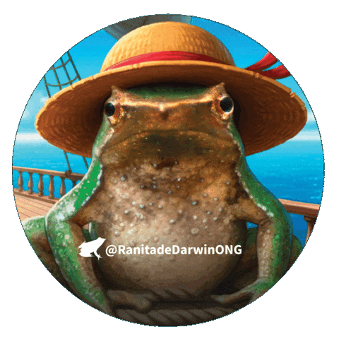 One Piece Chile Sticker by Ranita de Darwin ONG