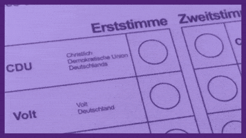 Volt Votevolt GIF