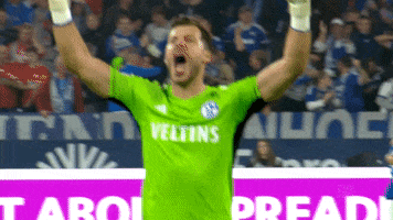 Soccer Vamos GIF by FC Schalke 04