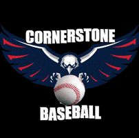 ccaeagle GIF