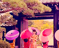 200.gif?cid=fc005b08b24a476e262887db9255a392a01b7565e1eb2931&rid=200.gif&ct=g