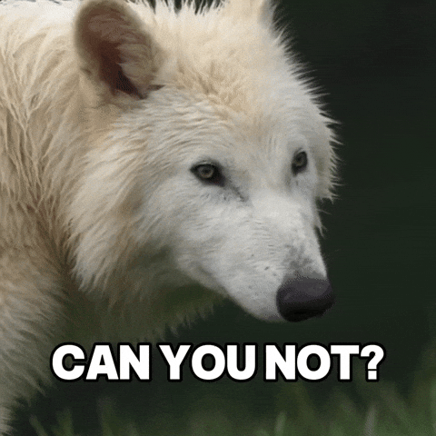 Stop No GIF by Colossal