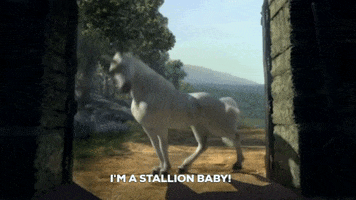 Horse GIF