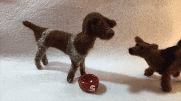 dogs eating GIF by ELFvid