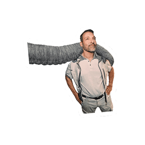 Partner Trunk Sticker by Caparol Deutschland