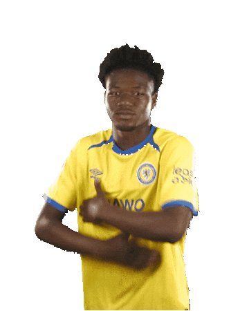 Tor Btsv Sticker by Eintracht Braunschweig