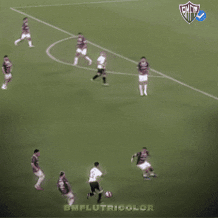 Fluminense GIF