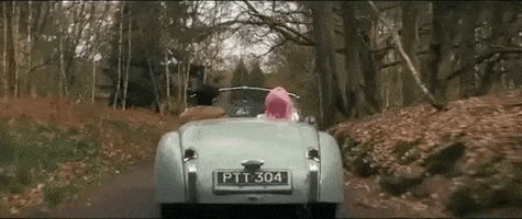 One Direction Car GIF by Anne-Marie