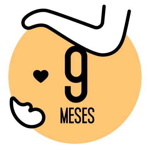 Gravidas Sticker by IN8 Home