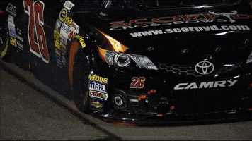 night raceway GIF by FOX Sports: Watch. Enjoy. Repeat.