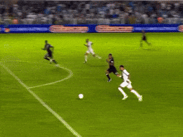Santos Vasco GIF