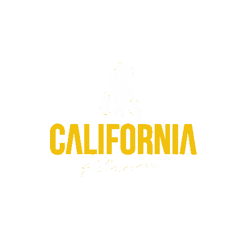 Academia Bernardo Sticker by California Fintess