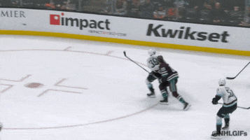 Anaheim Ducks Goal GIF by NHL