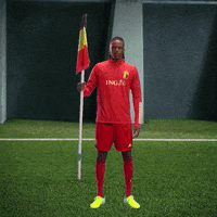 Red Devils Flag GIF by ING Belgium